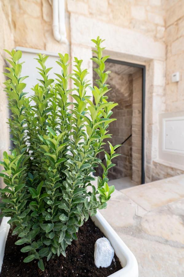 Hotel Piccola Pietra Bianca à Giovinazzo Extérieur photo